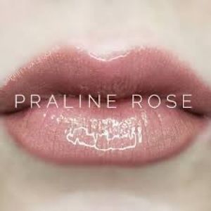 🌹Host Pick 🌹Lipsense by Senegence. Shade: Praline Rose. NWT.